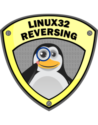 Reverse Engineering Linux 32-bit Applications