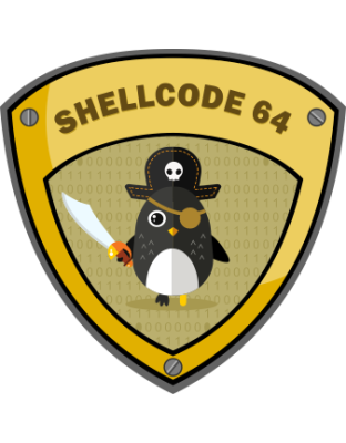 Academy – x86_64 Assembly Language and Shellcoding on Linux