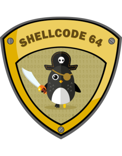 Academy – x86_64 Assembly Language and Shellcoding on Linux
