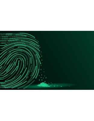 Digital Forensics Foundations