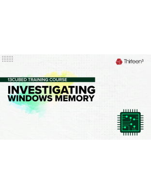 Investigating Windows Memory