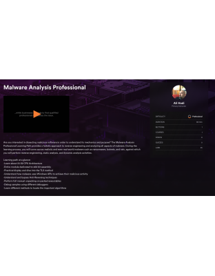 Malware Analysis Professional
