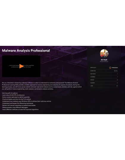 Malware Analysis Professional