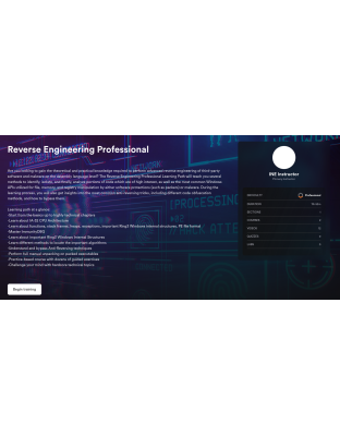 Reverse Engineering Professional Learning Path