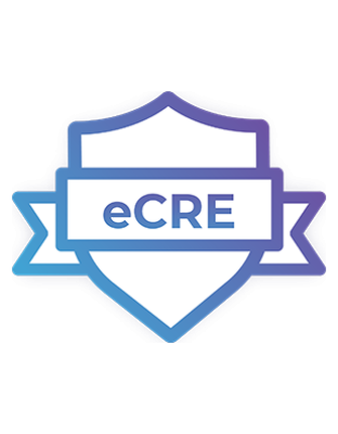 Reverse Engineering Professional (eCRE) Course
