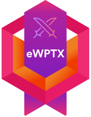 Advanced Web Application Penetration Testing (eWPTX) Course