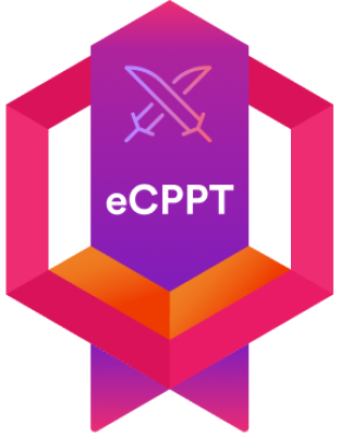Penetration Testing Professional (eCPPT) course