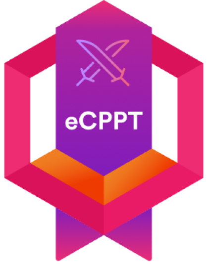Penetration Testing Professional (eCPPT) course