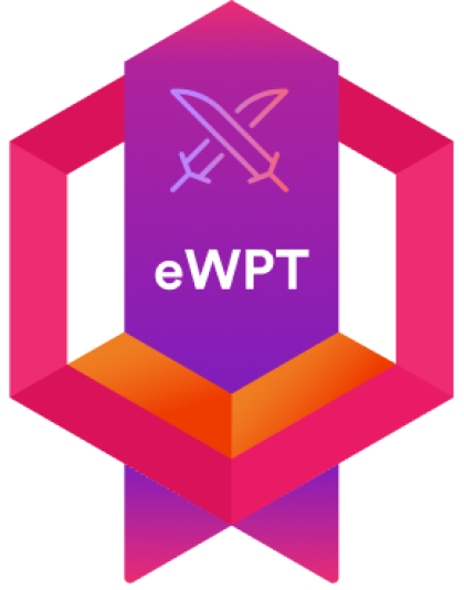 Web Application Penetration Testing Professional (eWPTv2) course