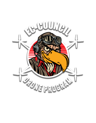 Drone Hacking Workshop