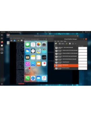 Remote Forensic Toolkit